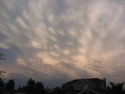 <a
  href="/earth/Atmosphere/clouds/mammatus.html&dev=1">Mammatus
  clouds</a> are pouches of clouds that hang underneath the base of a cloud.
  They are usually seen with <a
  href="/earth/Atmosphere/clouds/cumulonimbus.html&dev=1">cumulonimbus
  clouds</a> that produce very <a
  href="/earth/Atmosphere/tstorm.html&dev=1">strong
  storms</a>. This photograph of mammatus clouds was taken on June 21, 2006 in
  Boulder, Colorado, at sunset. Notice how the light from the sun highlights
  the round features of these clouds.<p><small><em>       Courtesy of Roberta Johnson</em></small></p>
