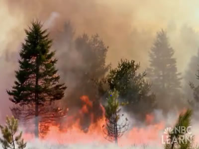 <p>Something on Earth is always burning! NASA's Earth Observatory tracks wildfires across the world with <a href="http://earthobservatory.nasa.gov/GlobalMaps/view.php?d1=MOD14A1_M_FIRE" target="_blank">maps available for viewing</a> from 2000-present. Some wildfires can restore <a href="/earth/ecosystems.html&edu=elem&dev=1">ecosystems</a> to good health, but many can threaten human populations, posing a natural disaster threat.</p>
<p>Check out the materials about natural disasters in <a href="/earth/natural_hazards/when_nature_strikes.html&edu=elem&dev=1">NBC Learn Videos</a>, and their earth system science connections built up by the related secondary classroom activities.</p><p><small><em>NBC Learn</em></small></p>