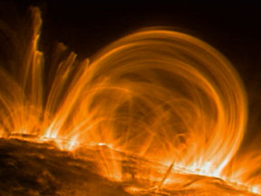 Coronal loops